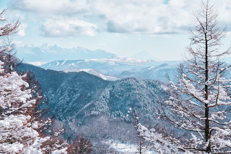 雪景色